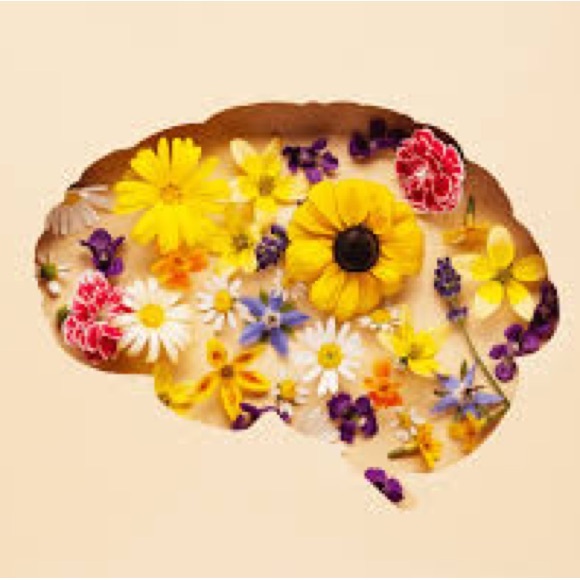 Meet your Posher, Jai - Picture 1 of 1